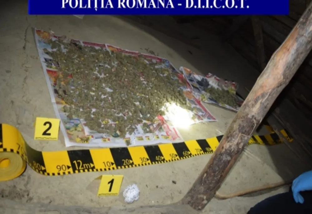 Un kilogram de cannabis, descoperit ăn urma unor percheziții