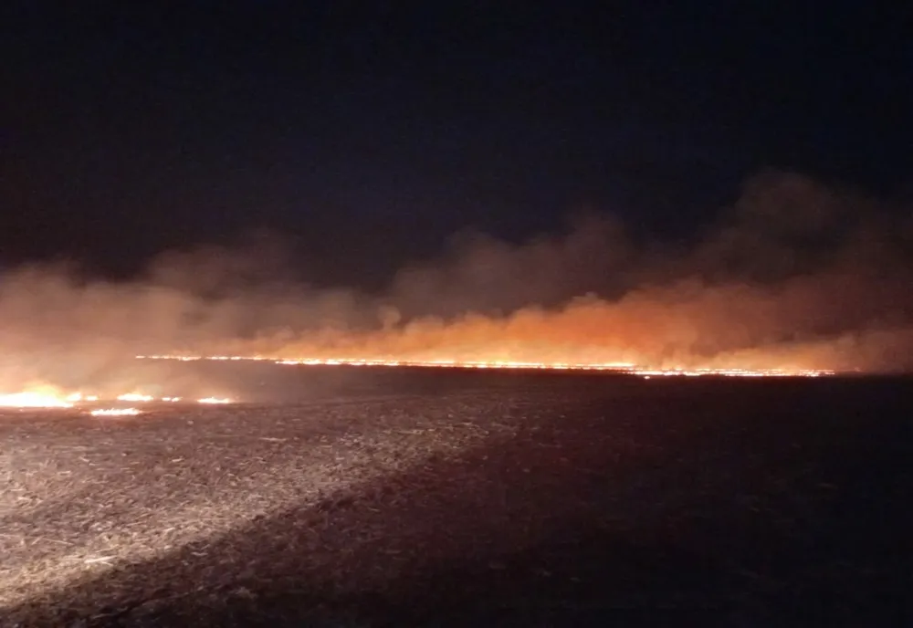 Patru incendii de vegetație uscată în mai puțin de patru ore