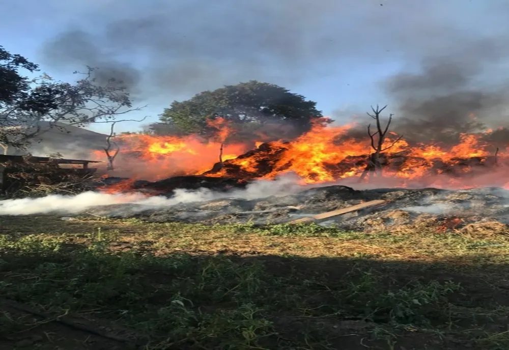 Incendiu de amploare la Bradesti 