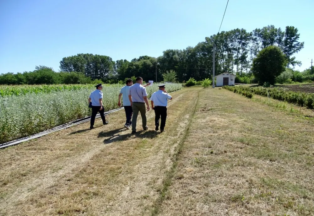 Acțiuni de prevenire pentru stoparea incendiilor de vegetație