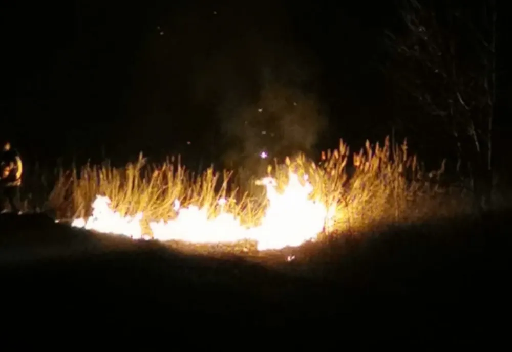 Incendii de vegetație în județul Botoșani. Pompierii au intervenit pentru a limita proporțiile