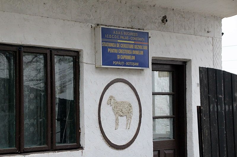 statiunea popauti (3)