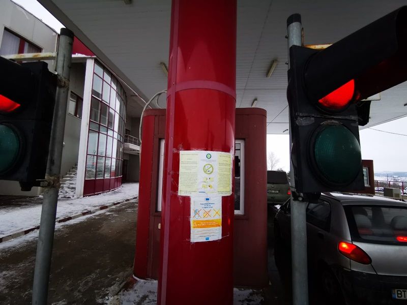 vama pesta porcina (4)