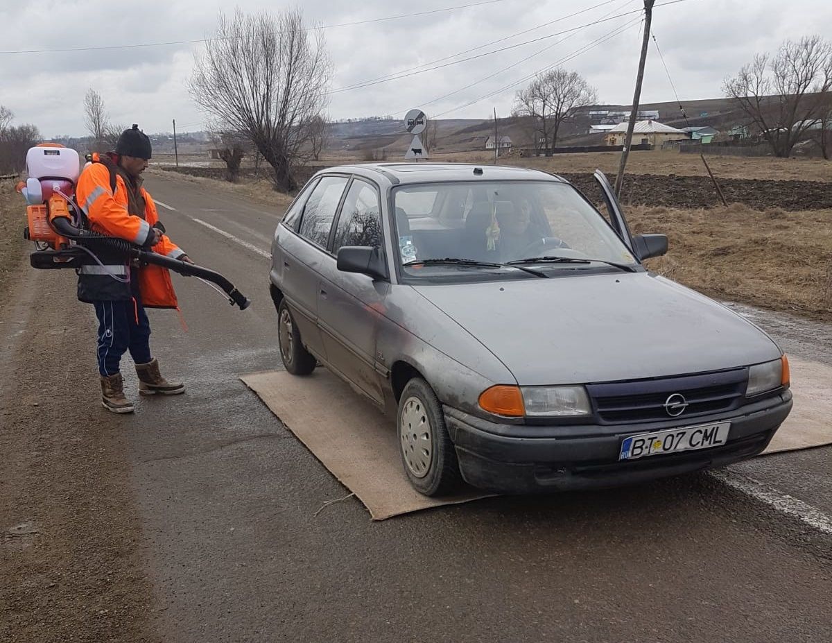 pesta porcina pomarla (4)