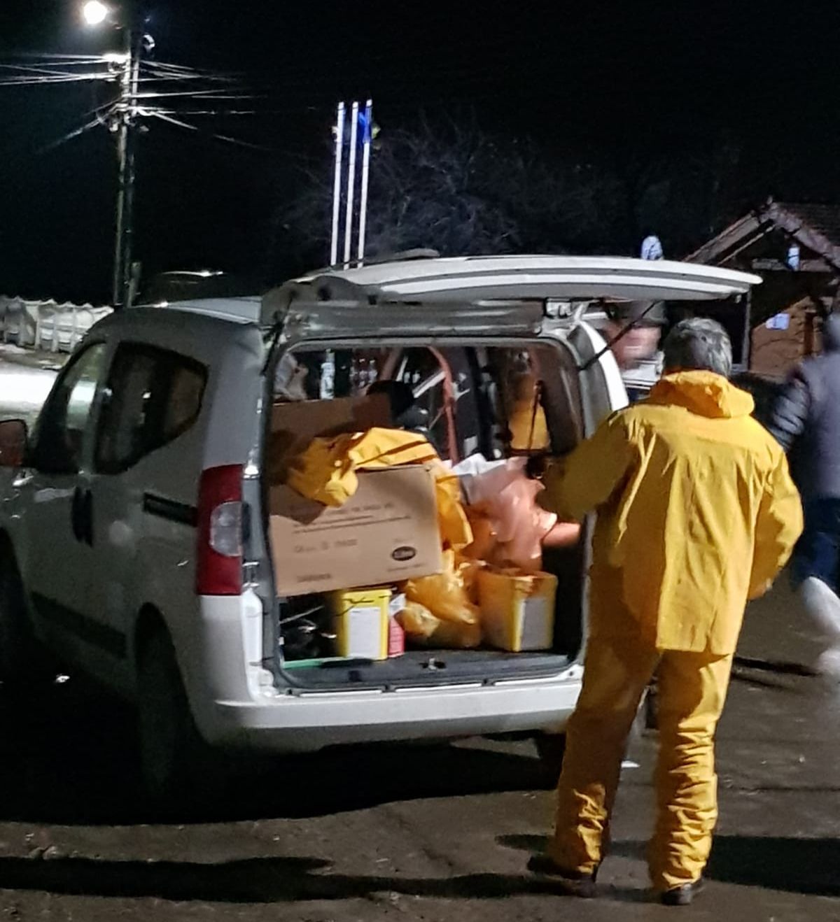 pesta porcina pomarla (8)