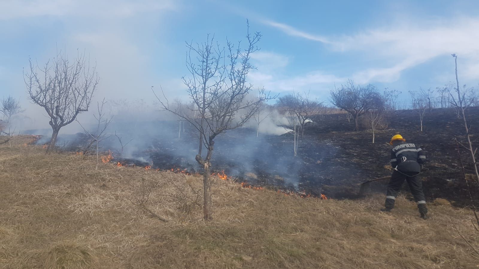 incendiu vegetatie (1)