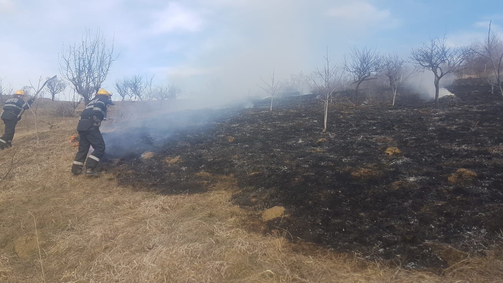 incendiu vegetatie (2)