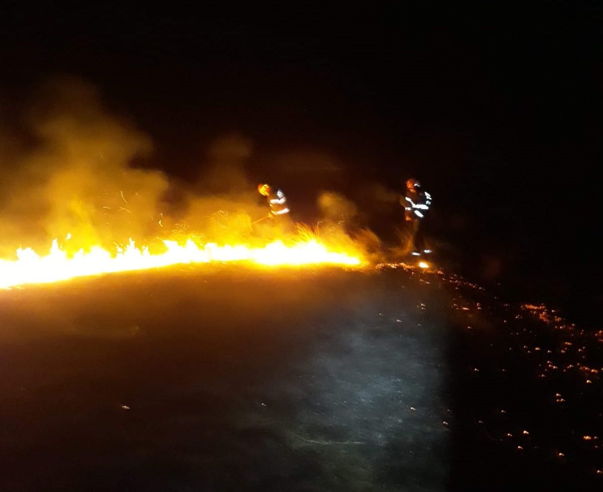 incendiu vegetatie1