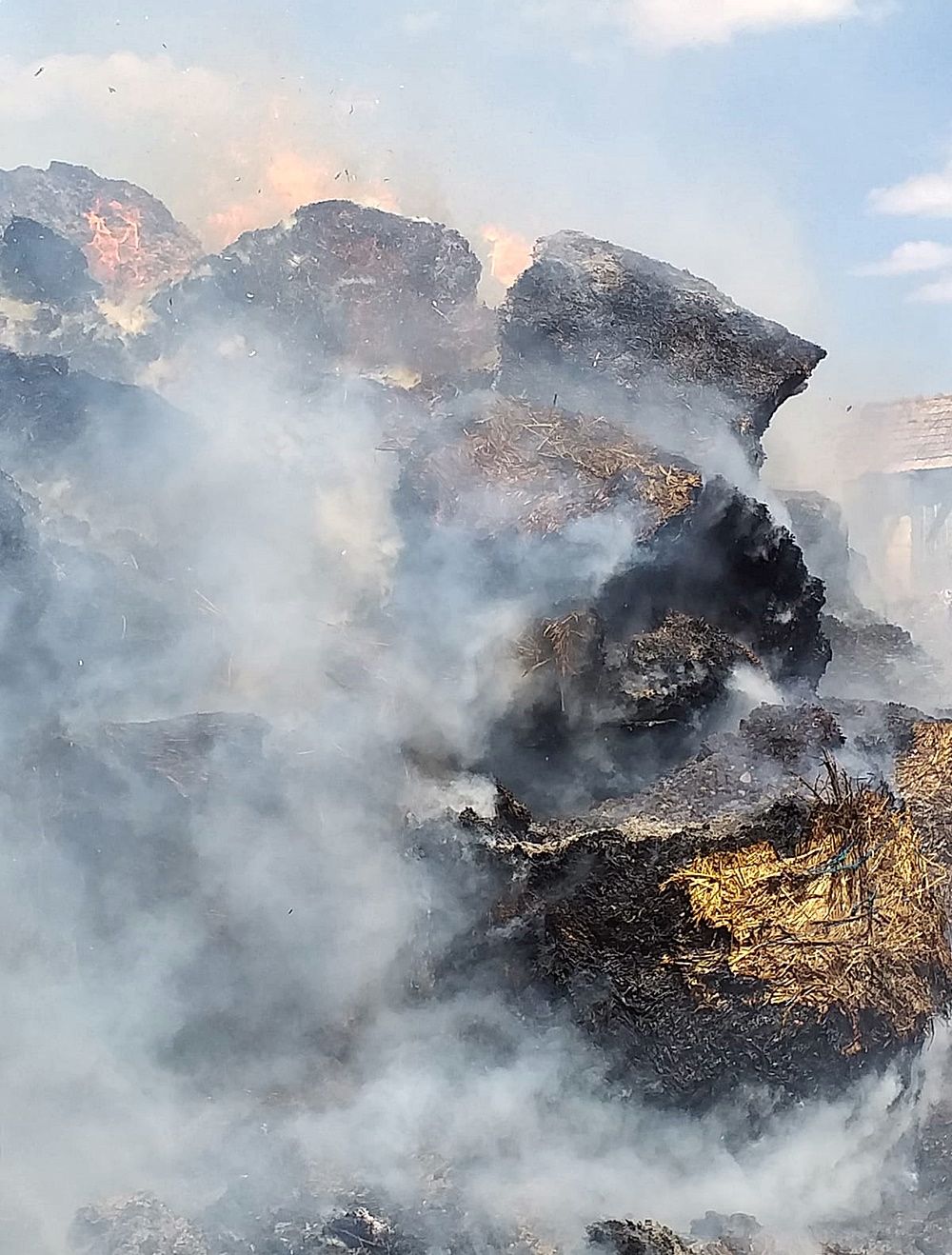 incendiu crasnaleuca (11)