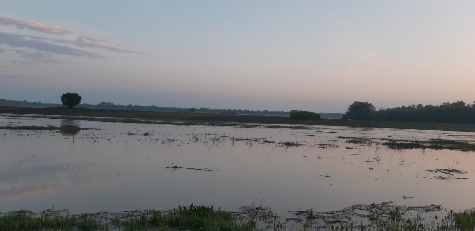 IMG-20190503-WA0006