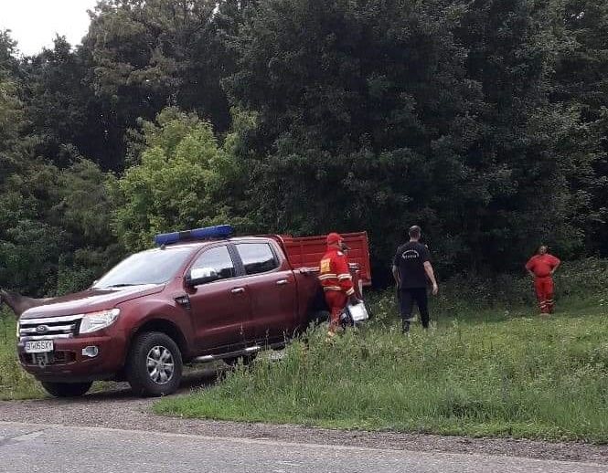 pompieri cautari padure