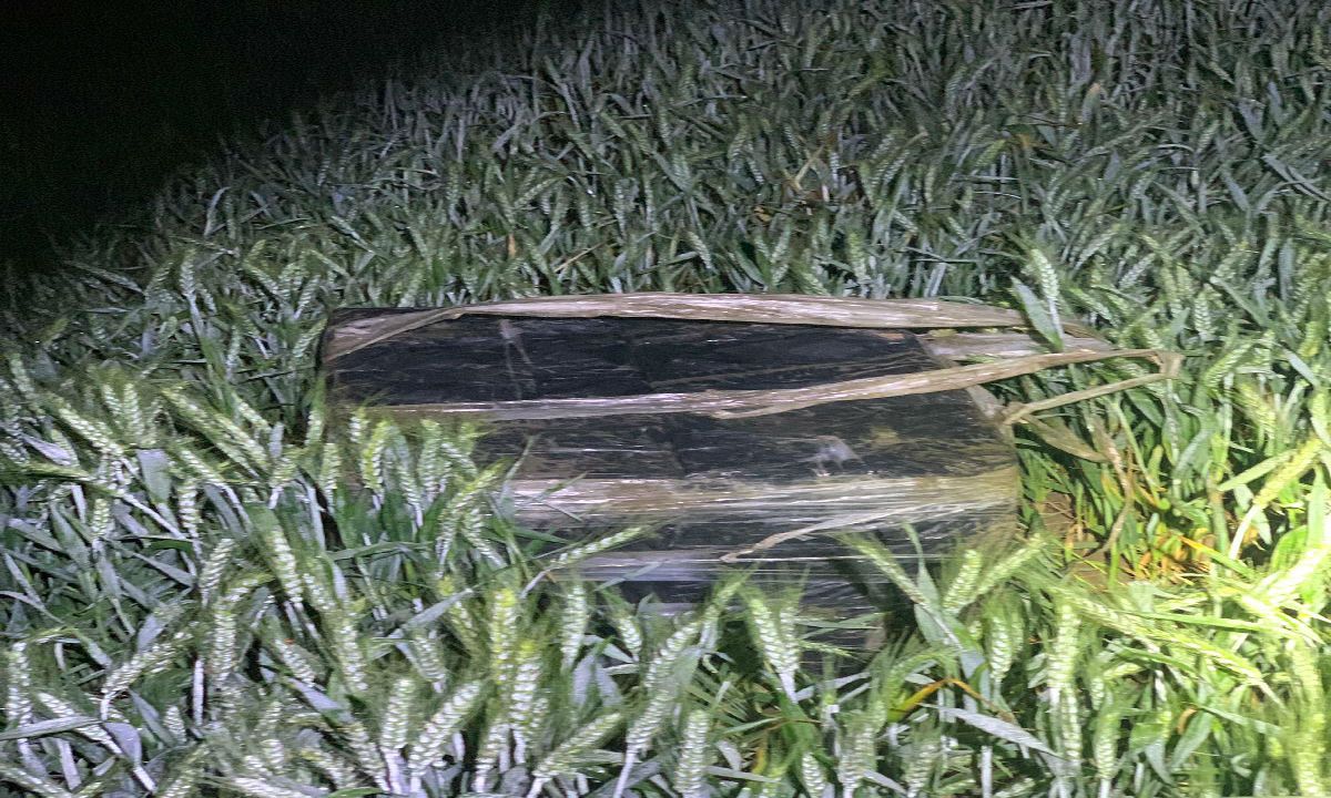 tigari contrabanda (2)