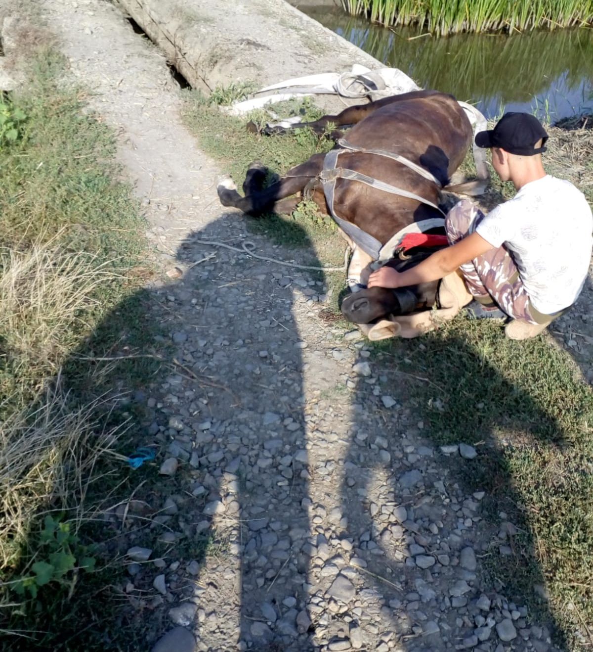 cal salvat de pompieri3