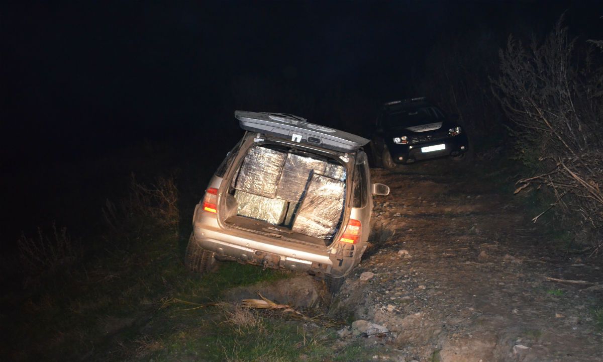 politia de frontiera tigari4