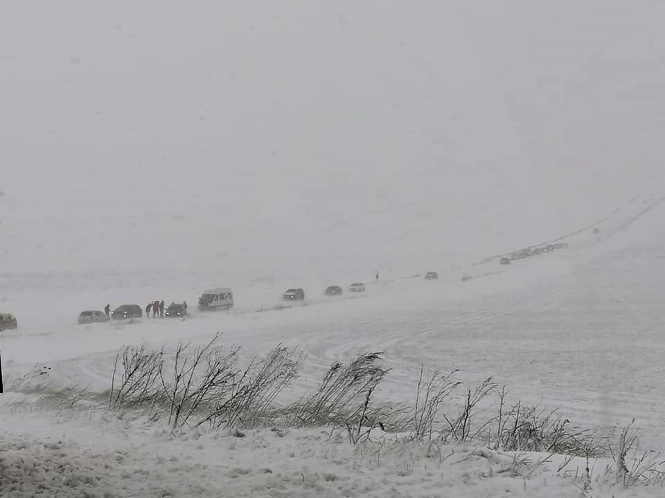 drum botosani saveni