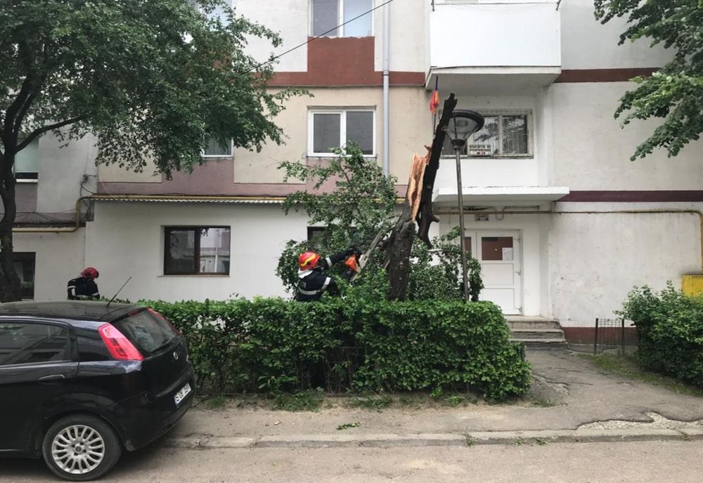 COD PORTOCALIU de vânt în Botoșani. Copaci rupți și bucăți de acoperiș desprinse de pe clădiri FOTO