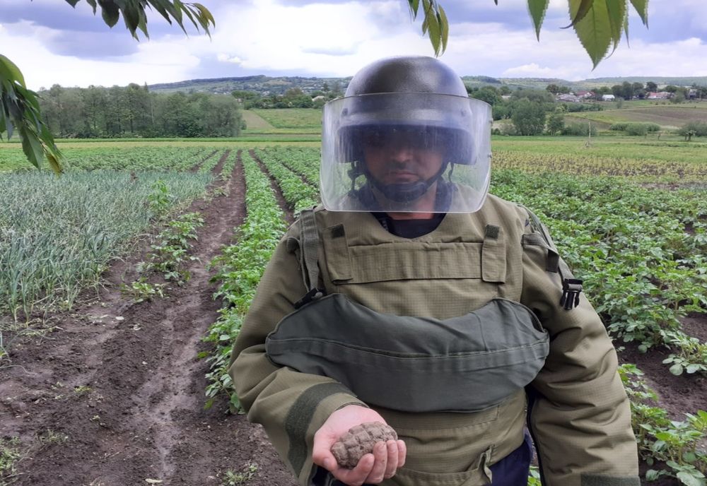 Grenadă descoperită în gospodăria unui localnic din comuna Vorona