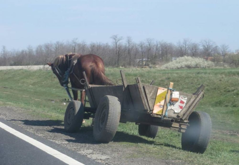 A ajuns la spital după ce a căzut din căruță. Atât victima cât și căruțașul erau morți de beți