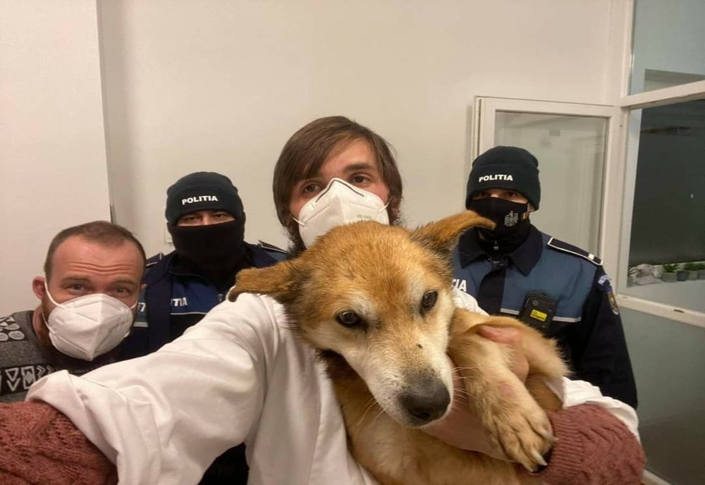 Cățel în agonie, salvat de doi polițiști