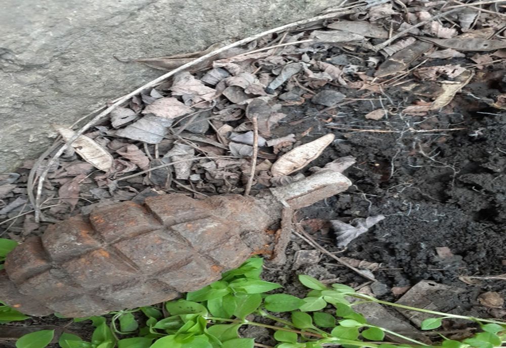 Grenadă descoperită în grădina unui localnic din Cucuteni