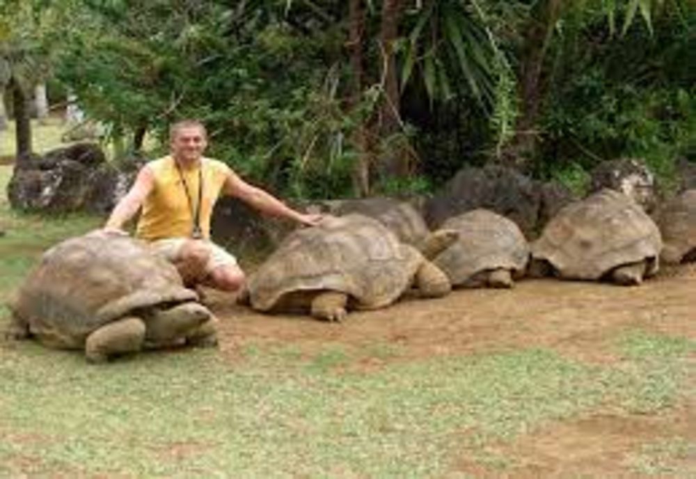 Un om de afaceri din Botoșani, PRIMUL în topul românilor care au vizitat cele mai multe state. Care este POVESTEA acestuia