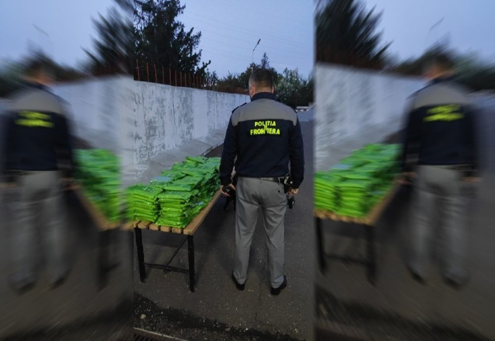 240 de kilograme de tutun aromatizat, descoperite la Stânca