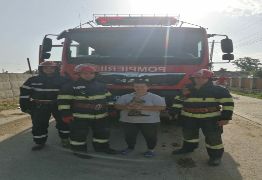 Povestea cu final fericit a unui cățel salvat dintr-un canal