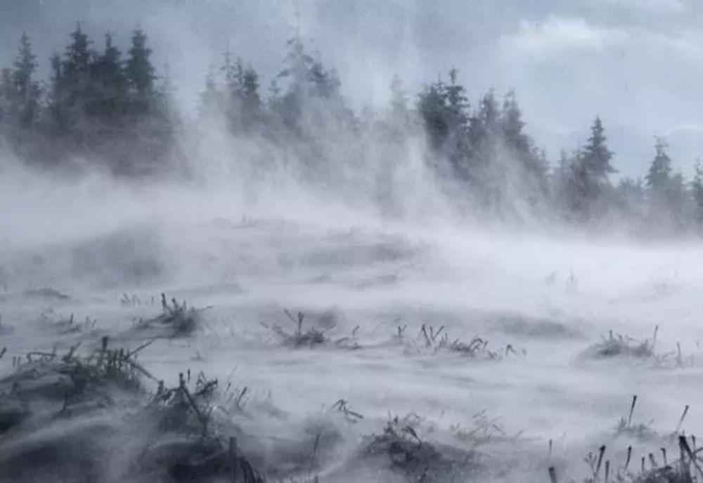 Ninsori puternice în țară, coduri galbene în vigoare - Imagini cu fenomenele extreme