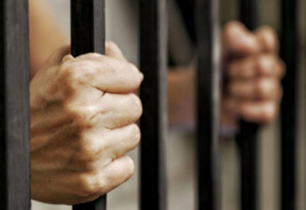 Proprietarul câinilor care au mușcat un copil în Botoșani, reținut