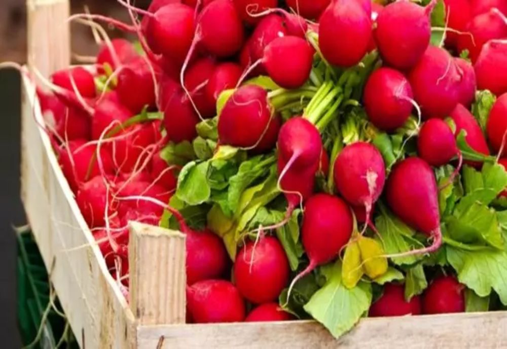 Pericolul foarte puțin cunoscut pentru cei care consumă ridichi roșii - Medicii trag un semnal de alarmă