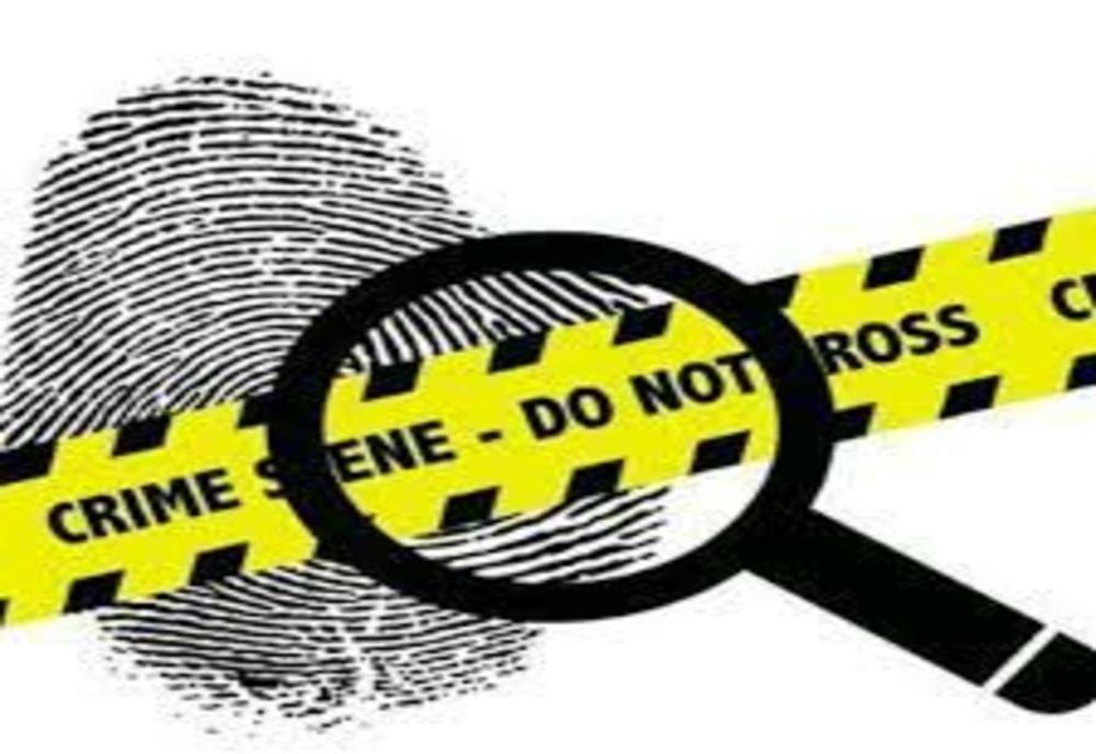 ”Micul criminalist” este din Hilișeu Horia