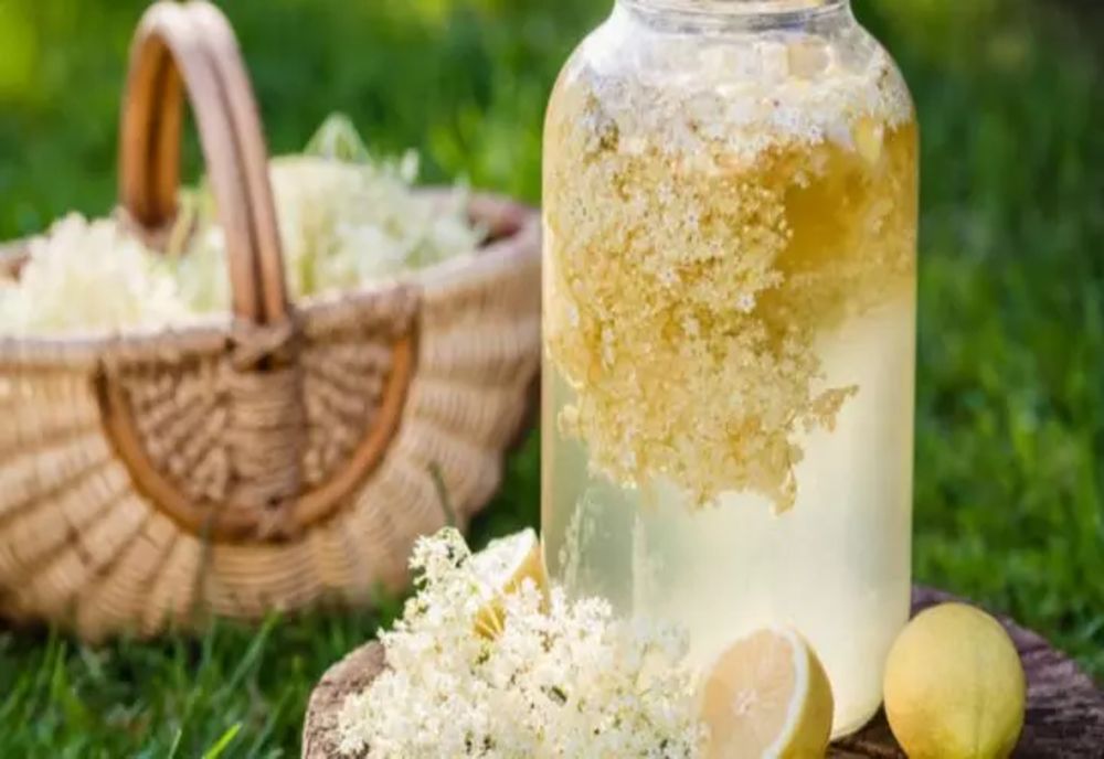 Socata, “citronada”- minune, care luptă cu bacteriile și virușii și te ajută să slăbești