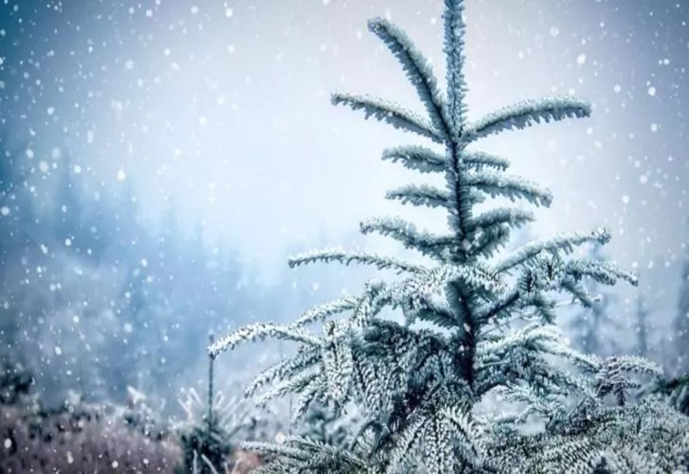 Vânt extrem și GER de Revelion: la ce TEMPERATURI să ne așteptăm în noaptea dintre ani: prognoza ANM