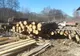 Străzile municipiului vor fi măturate