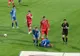 Clubul FC Botoșani cere arbitraje corecte: „Ne-am săturat să fim umiliți”