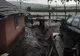UPDATE. Rupere de nori la Săveni. Pompierii au adus o barcă pentru a interveni FOTO&amp;VIDEO