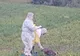 Încă un focar de pestă porcină africană în județul Botoșani FOTO