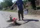 Protest inedit. Flori plantate în gropile de pe un drum județean din Botoșani