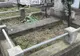 Politica a ajuns și în cimitire. Contre în Flutur și Andrei pe locurile veci