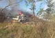 Un camion încărcat cu stupi a luat foc FOTO