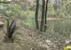 Iluminat public până la lacul cu nuferi FOTO