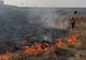 Incendiu pe strada PECO din municipiul Botoșani. Focul a ajuns în apropierea caselor