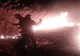 Incendiu de vegetație în comuna Stăuceni FOTO