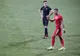 FC Botoșani – Hermannstadt 2-1. Pas important către play-off