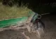 Accident pe drumul Havârna-Darabani
