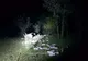 A abandonat mașina plină cu țigari de contrabandă și s-a ascuns în lanul cu porumb