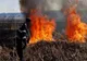 A început sezonul incendiilor de vegetație uscată. Sfaturile pompierilor