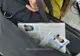 Documente false cumpărate cu peste o mie de euro, descoperite la controlul de frontieră