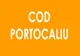 COD PORTOCALIU peste Botoșani. 12 sfaturi despre ce trebuie să faceți în caz de furtună!
