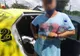 Ţigări de contrabandă transportate cu taxiul